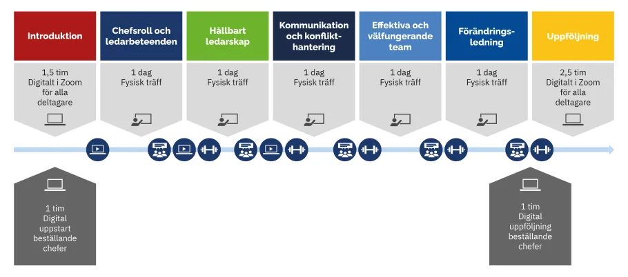 Processen under ledningsprogrammet, från introduktion till uppföljning.