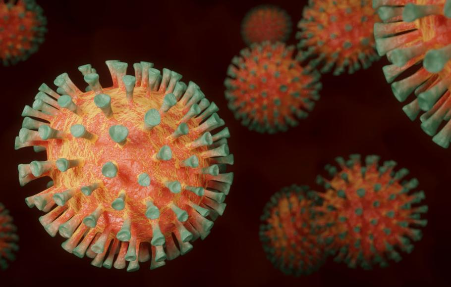 coronavirus