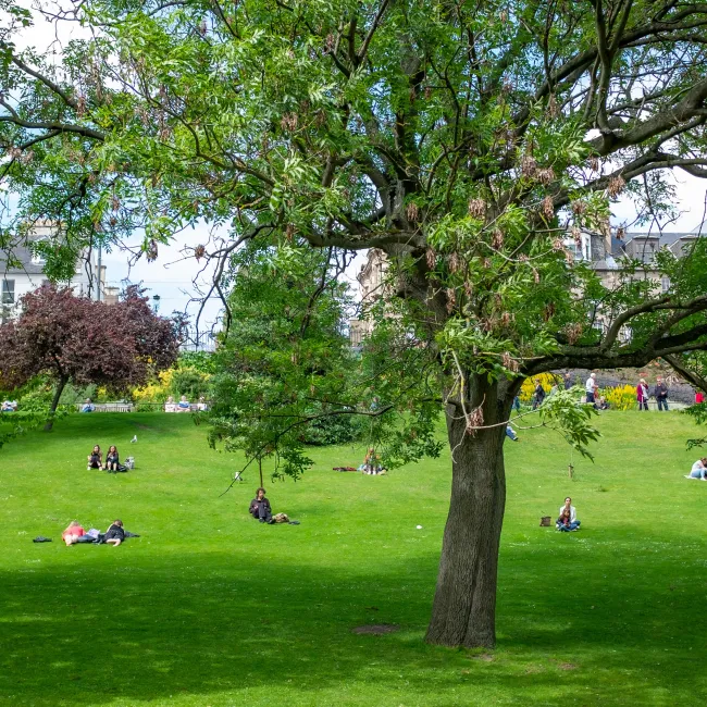 Grön park