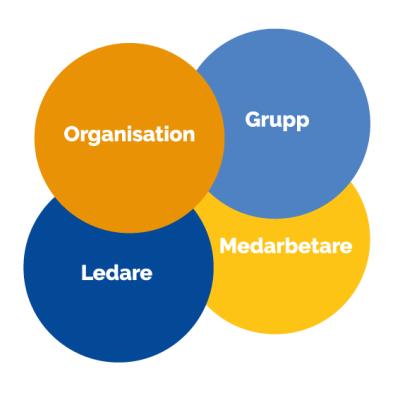 organisation, grupp, ledare, medarbetare