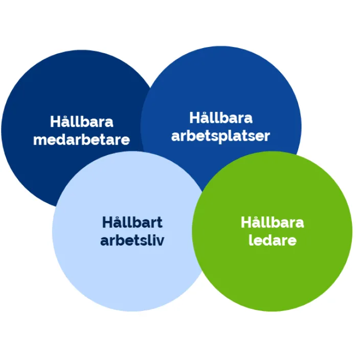 organisation och ledarskap